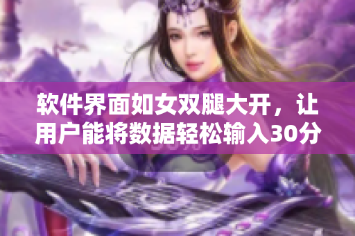 軟件界面如女雙腿大開，讓用戶能將數(shù)據(jù)輕松輸入30分鐘