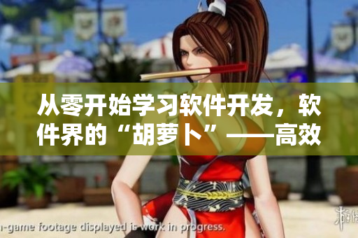 從零開始學(xué)習(xí)軟件開發(fā)，軟件界的“胡蘿卜”——高效學(xué)習(xí)法！