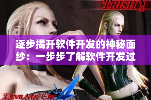 逐步揭開軟件開發(fā)的神秘面紗：一步步了解軟件開發(fā)過(guò)程