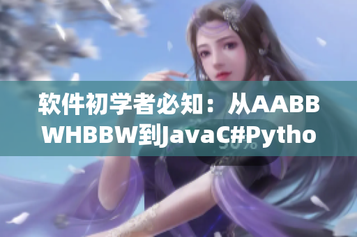 軟件初學(xué)者必知：從AABBWHBBW到JavaC#Python