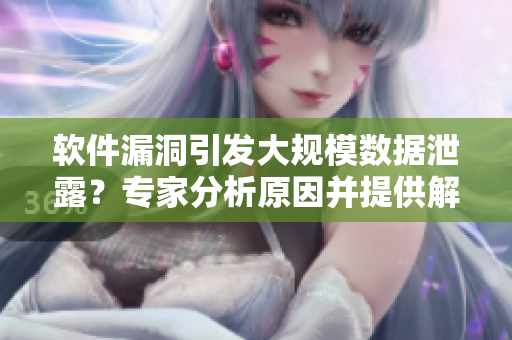軟件漏洞引發(fā)大規(guī)模數(shù)據(jù)泄露？專家分析原因并提供解決方案
