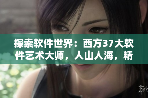探索軟件世界：西方37大軟件藝術(shù)大師，人山人海，精彩紛呈