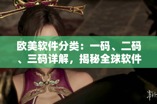 歐美軟件分類：一碼、二碼、三碼詳解，揭秘全球軟件規(guī)范