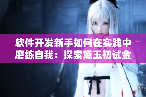 軟件開發(fā)新手如何在實踐中磨練自我：探索黛玉初試金箍棒