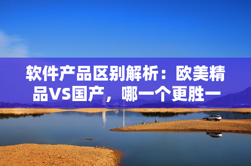 軟件產(chǎn)品區(qū)別解析：歐美精品VS國產(chǎn)，哪一個更勝一籌？
