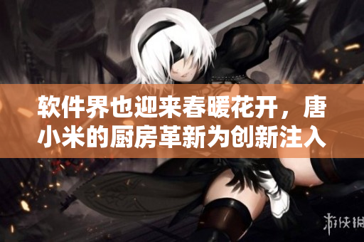 軟件界也迎來春暖花開，唐小米的廚房革新為創(chuàng)新注入活力