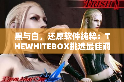 黑與白，還原軟件純粹：THEWHITEBOX挑選最佳調(diào)色軟件