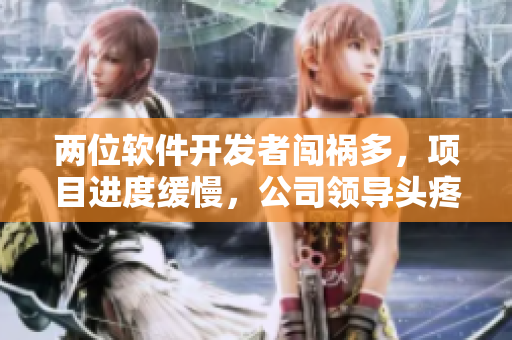 兩位軟件開發(fā)者闖禍多，項目進度緩慢，公司領導頭疼不已
