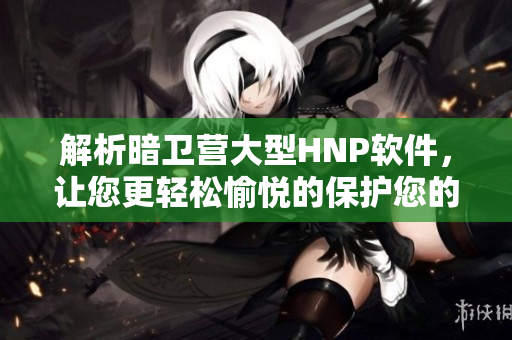解析暗衛(wèi)營大型HNP軟件，讓您更輕松愉悅的保護您的電腦