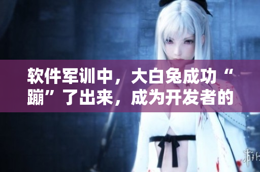 軟件軍訓(xùn)中，大白兔成功“蹦”了出來，成為開發(fā)者的“甜蜜源泉”