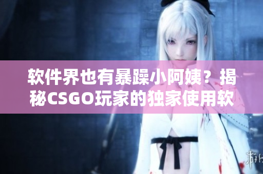 軟件界也有暴躁小阿姨？揭秘CSGO玩家的獨家使用軟件