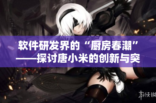 軟件研發(fā)界的“廚房春潮”——探討唐小米的創(chuàng)新與突破
