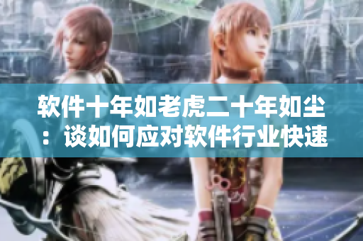 軟件十年如老虎二十年如塵：談如何應(yīng)對(duì)軟件行業(yè)快速發(fā)展的挑戰(zhàn)