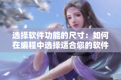選擇軟件功能的尺寸：如何在編程中選擇適合您的軟件設(shè)計(jì)方案