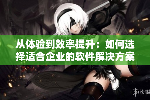 從體驗到效率提升：如何選擇適合企業(yè)的軟件解決方案