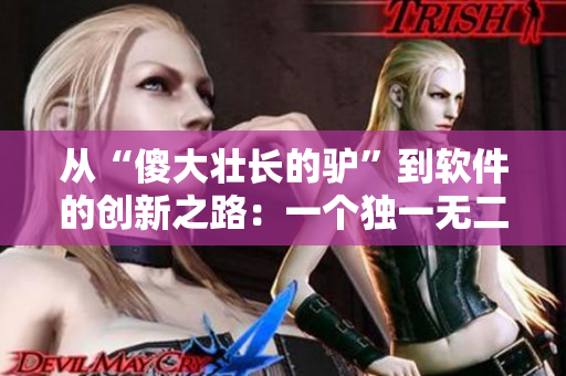 從“傻大壯長的驢”到軟件的創(chuàng)新之路：一個獨一無二的故事