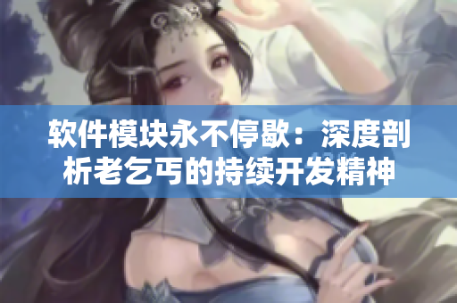 軟件模塊永不停歇：深度剖析老乞丐的持續(xù)開(kāi)發(fā)精神