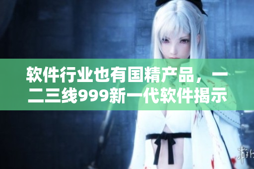 軟件行業(yè)也有國(guó)精產(chǎn)品，一二三線(xiàn)999新一代軟件揭示真相