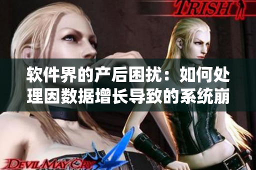 軟件界的產(chǎn)后困擾：如何處理因數(shù)據(jù)增長導(dǎo)致的系統(tǒng)崩潰？