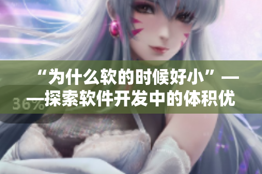 “為什么軟的時候好小”——探索軟件開發(fā)中的體積優(yōu)化策略