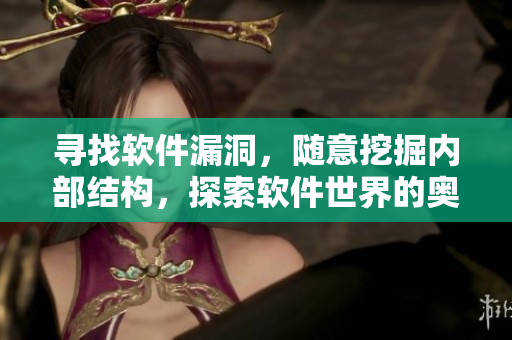尋找軟件漏洞，隨意挖掘內(nèi)部結(jié)構(gòu)，探索軟件世界的奧秘