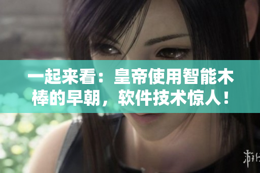 一起來(lái)看：皇帝使用智能木棒的早朝，軟件技術(shù)驚人！
