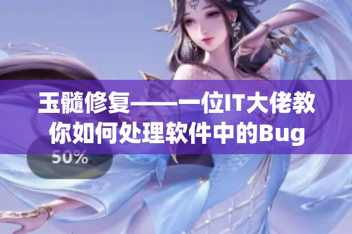 玉髓修復(fù)——一位IT大佬教你如何處理軟件中的Bug
