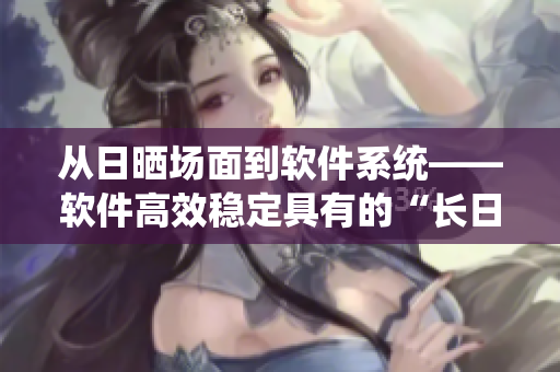 從日曬場(chǎng)面到軟件系統(tǒng)——軟件高效穩(wěn)定具有的“長(zhǎng)日光陰”特質(zhì)