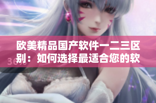 歐美精品國(guó)產(chǎn)軟件一二三區(qū)別：如何選擇最適合您的軟件？