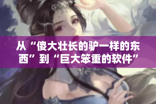 從“傻大壯長的驢一樣的東西”到“巨大笨重的軟件”，當軟件優(yōu)化變得重要