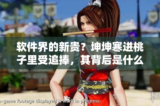 軟件界的新貴？坤坤寒進(jìn)桃子里受追捧，其背后是什么秘密？