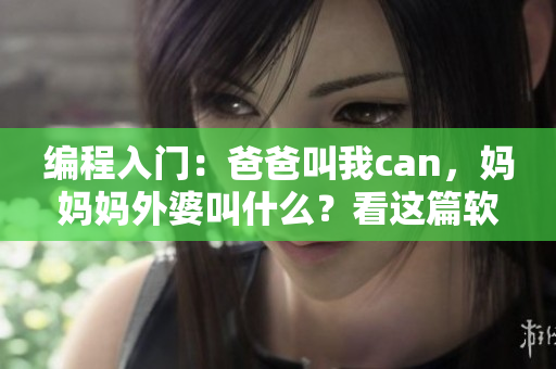 編程入門：爸爸叫我can，媽媽媽外婆叫什么？看這篇軟件開發(fā)教程！
