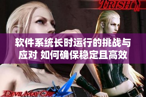 軟件系統(tǒng)長時(shí)運(yùn)行的挑戰(zhàn)與應(yīng)對 如何確保穩(wěn)定且高效的軟件運(yùn)行