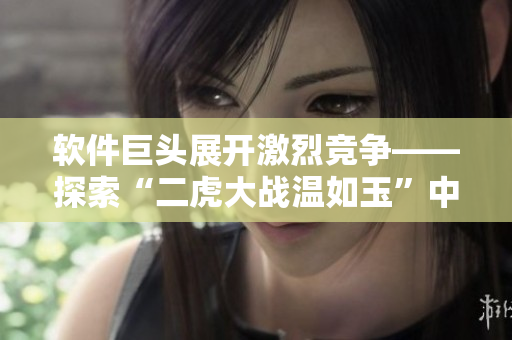 軟件巨頭展開激烈競爭——探索“二虎大戰(zhàn)溫如玉”中的軟件困局