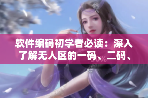 軟件編碼初學(xué)者必讀：深入了解無人區(qū)的一碼、二碼、三碼區(qū)別