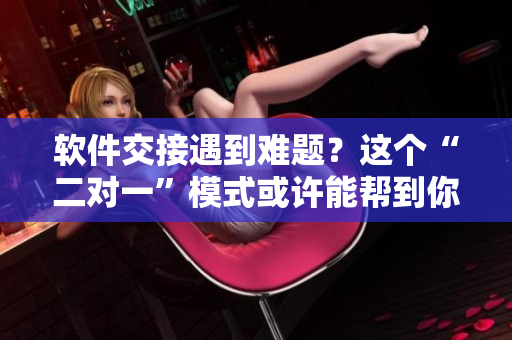 軟件交接遇到難題？這個“二對一”模式或許能幫到你！