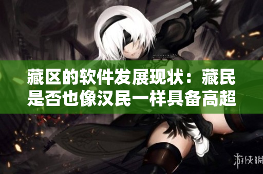 藏區(qū)的軟件發(fā)展現(xiàn)狀：藏民是否也像漢民一樣具備高超的軟件應(yīng)用技能？
