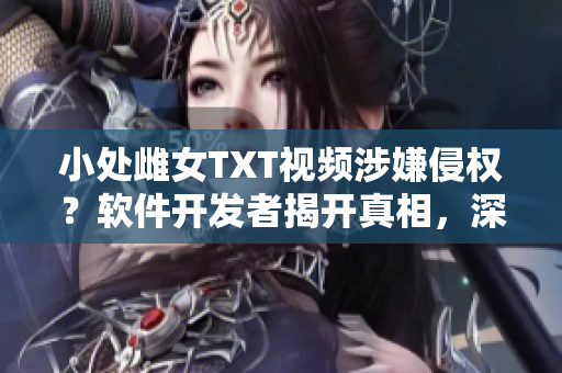 小處雌女TXT視頻涉嫌侵權(quán)？軟件開發(fā)者揭開真相，深度解析背后技術(shù)！