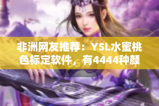 非洲網(wǎng)友推薦：YSL水蜜桃色標(biāo)定軟件，有4444種顏色選擇！