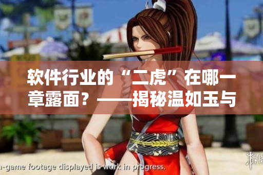 軟件行業(yè)的“二虎”在哪一章露面？——揭秘溫如玉與軟件之緣