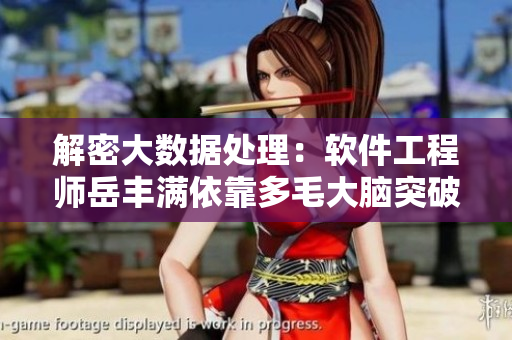 解密大數(shù)據(jù)處理：軟件工程師岳豐滿依靠多毛大腦突破難題