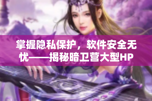 掌握隱私保護(hù)，軟件安全無憂——揭秘暗衛(wèi)營大型HPN技術(shù)