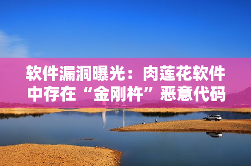 軟件漏洞曝光：肉蓮花軟件中存在“金剛杵”惡意代碼風(fēng)險(xiǎn)