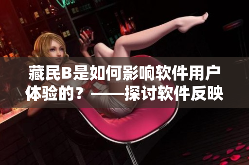 藏民B是如何影響軟件用戶體驗(yàn)的？——探討軟件反映跨文化需求的挑戰(zhàn)