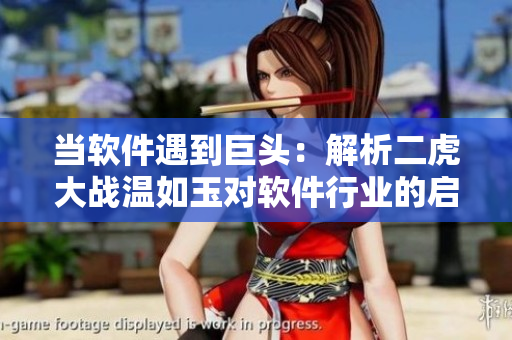 當(dāng)軟件遇到巨頭：解析二虎大戰(zhàn)溫如玉對軟件行業(yè)的啟示