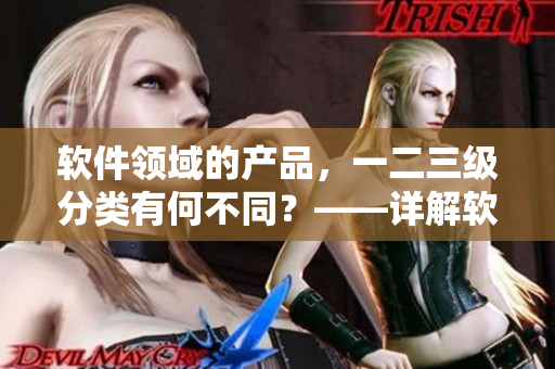 軟件領(lǐng)域的產(chǎn)品，一二三級分類有何不同？——詳解軟件產(chǎn)品區(qū)域劃分