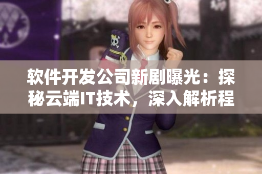 軟件開發(fā)公司新劇曝光：探秘云端IT技術，深入解析程序員工作生活