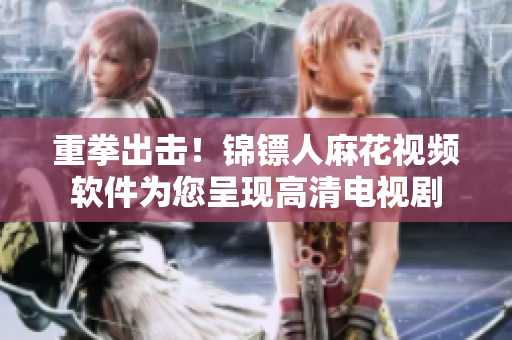 重拳出擊！錦鏢人麻花視頻軟件為您呈現(xiàn)高清電視劇