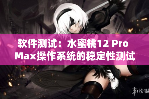 軟件測(cè)試：水蜜桃12 Pro Max操作系統(tǒng)的穩(wěn)定性測(cè)試