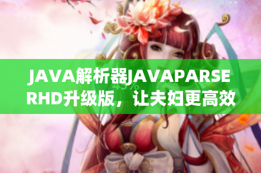 JAVA解析器JAVAPARSERHD升級版，讓夫婦更高效編寫軟件！